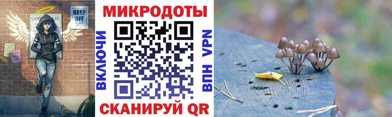 купить наркоту  Петушки  Галлюциногенные грибы Psilocybe 